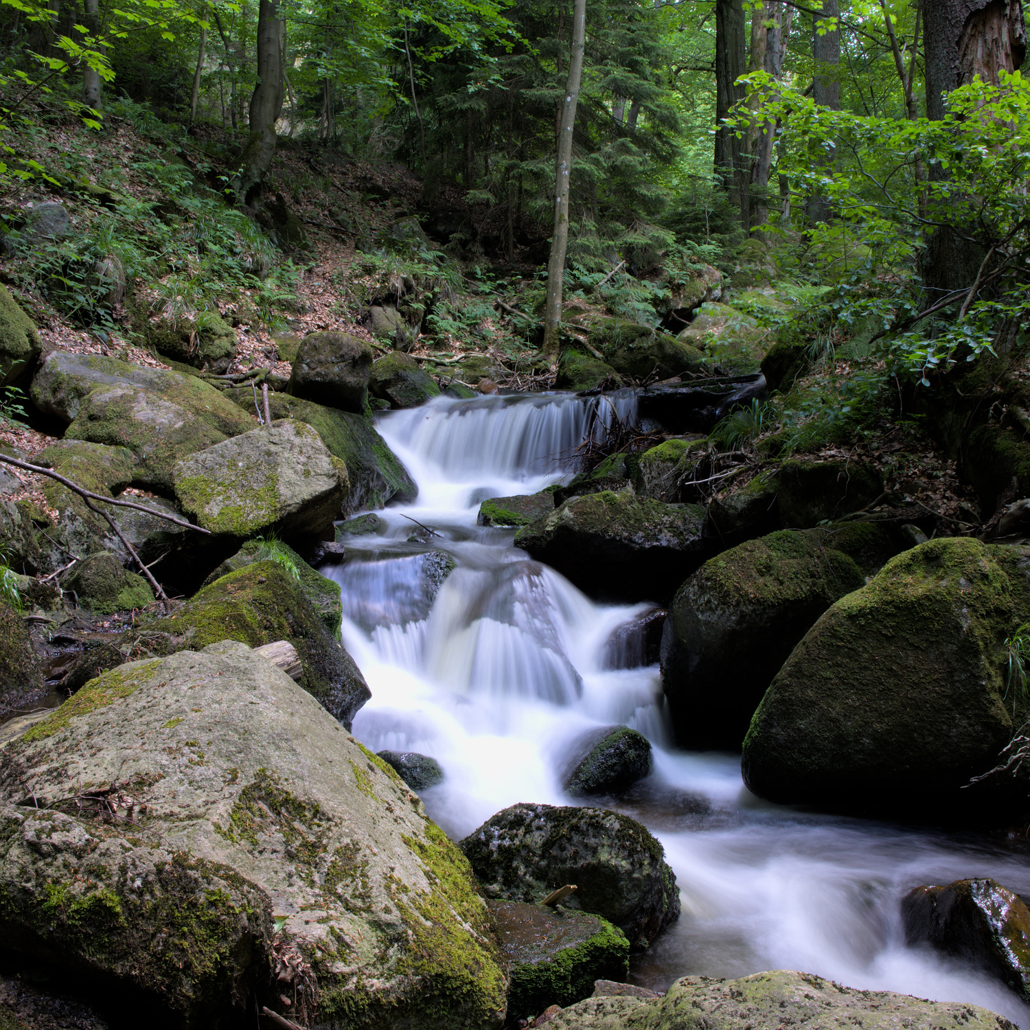 image from Ilsetal